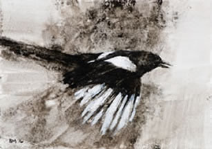 Bridget Macdonald, Magpie, 2016, Indian ink, sepia, watercolour on card, 10 x 15 cm