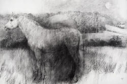 The Mid Summer Mare II by Bridget Macdonald