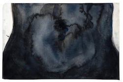 Navel Series 2013 by Joni Brenner
