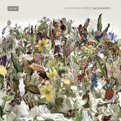 Cover Image of A Natural World by Jack Milroy