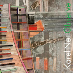 Cover Image of Observe by Karel Nel
