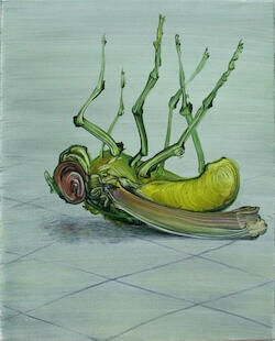 Dead Fly (legs in the air) by Mimei Thompson