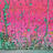 Weeds at the End of the World by Mimei Thompson thumbnail Image