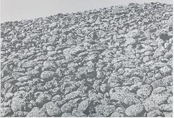 Mol, shingle praise by Helen MacAlister