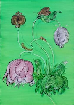 Metamorphosis (Opium Poppy) by Mimei Thompson