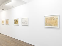 Wilhelmina Barns-Graham installation image